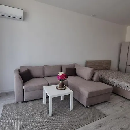 Apartment Near North *
